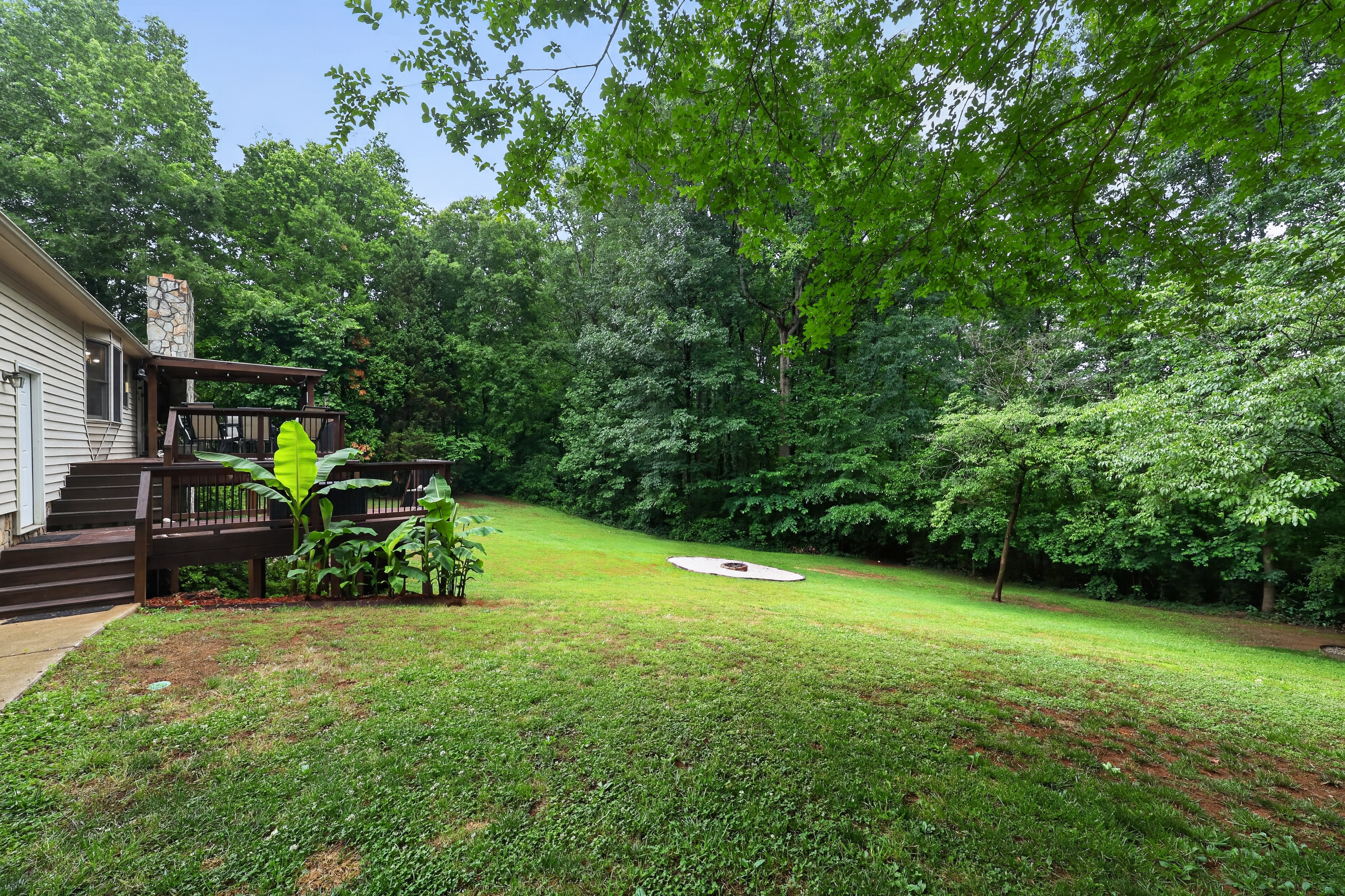 Private wooded backyard
